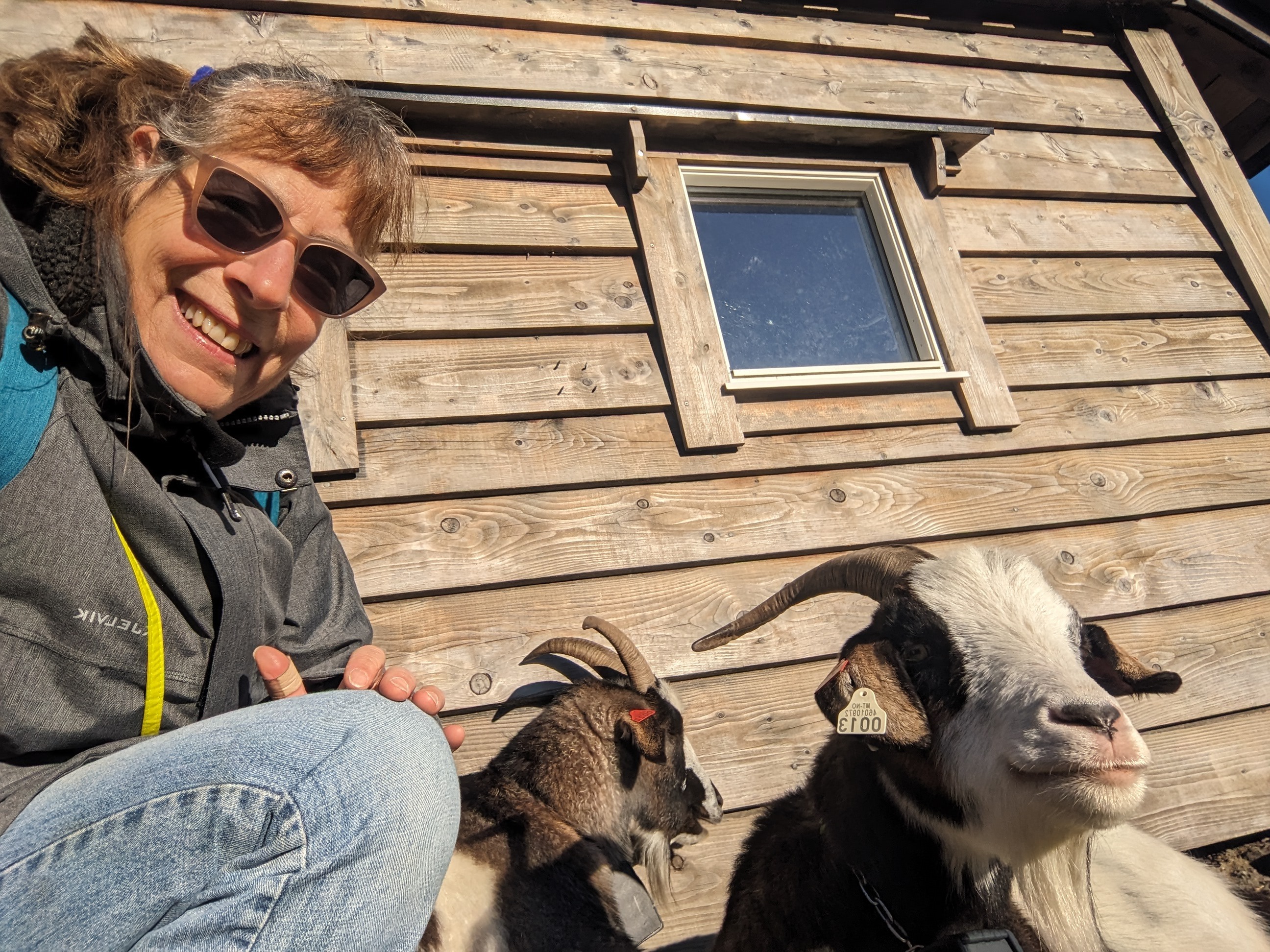 Betsy Blan_Selfie with goats