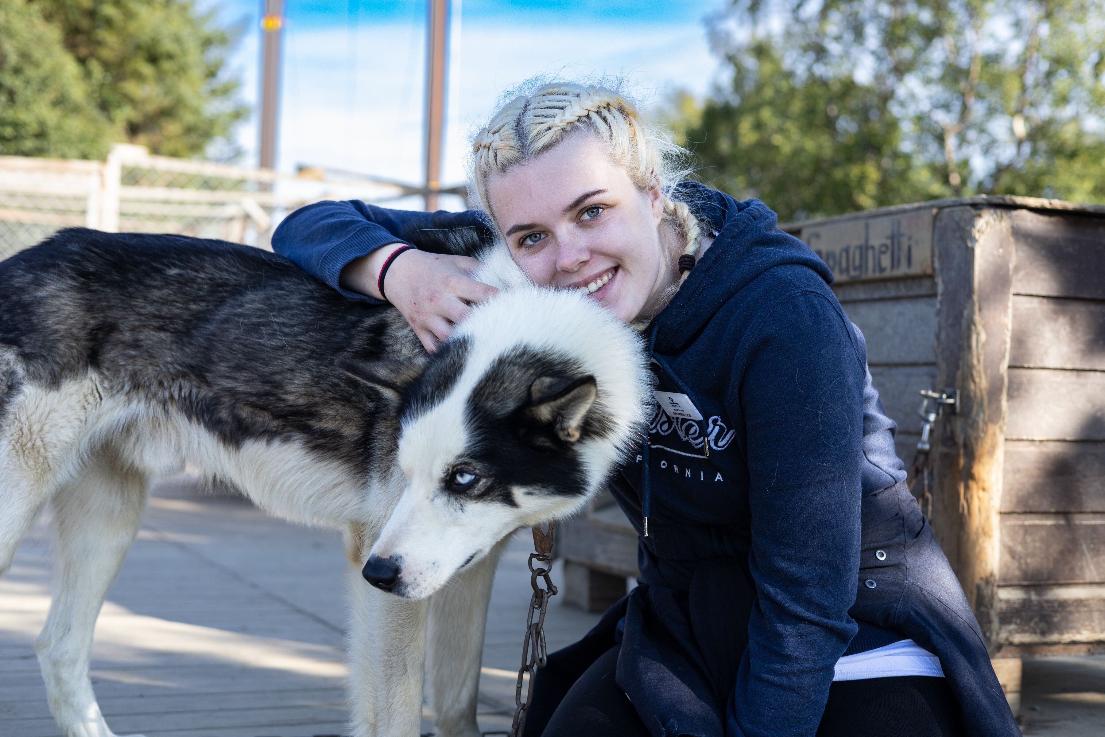 A Husky Visit in the Wilderness of Tromsø featured image