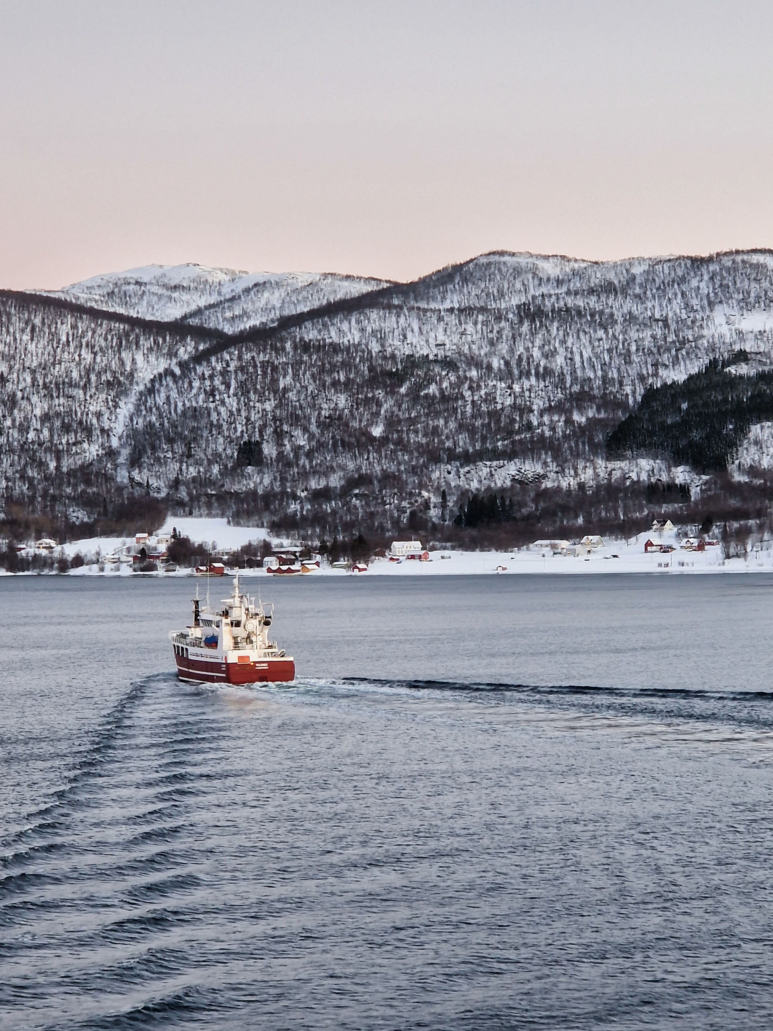 Fiskebåt