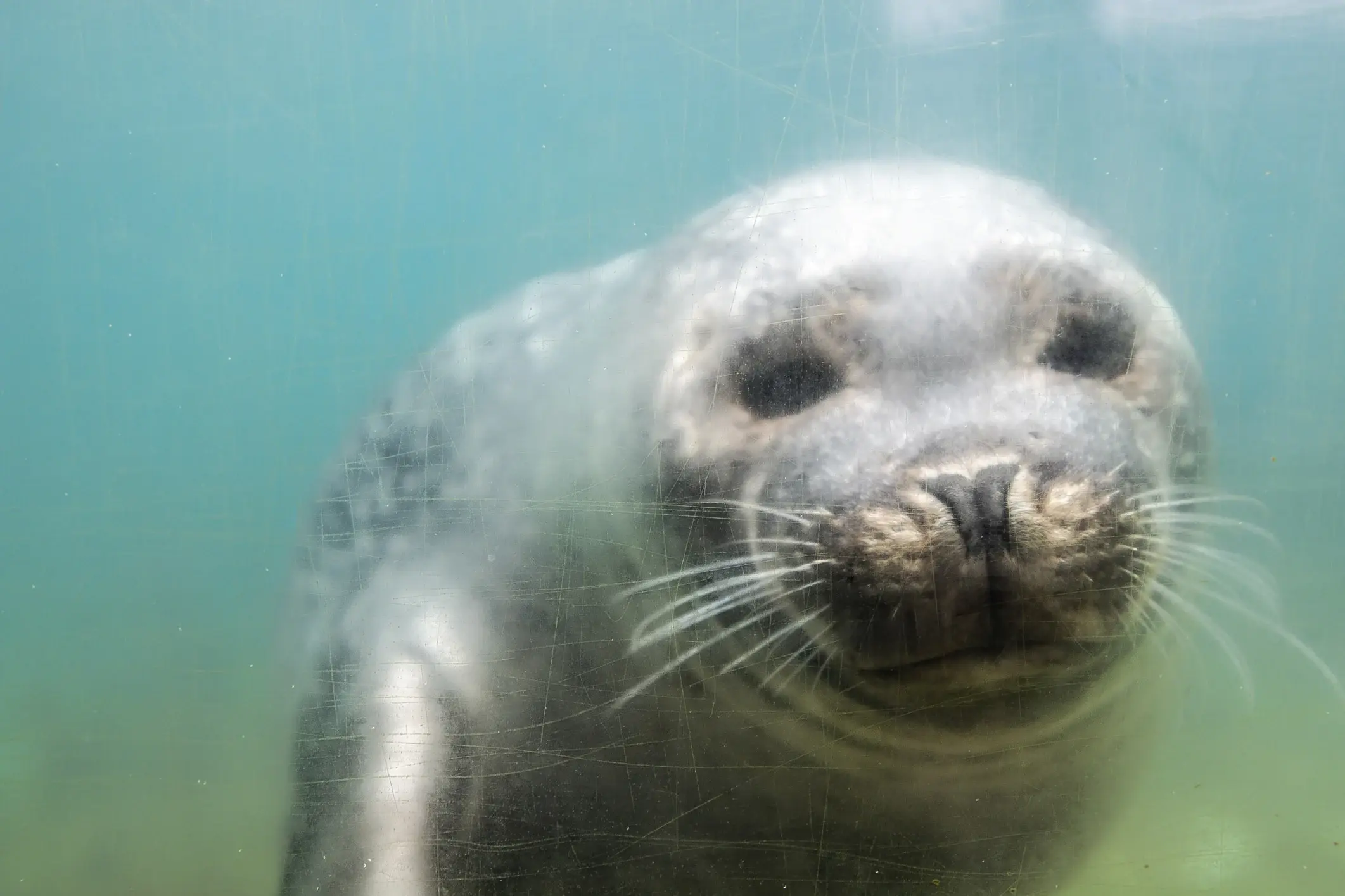 Entdecken Sie die Tiefen der norwegischen Küste featured image