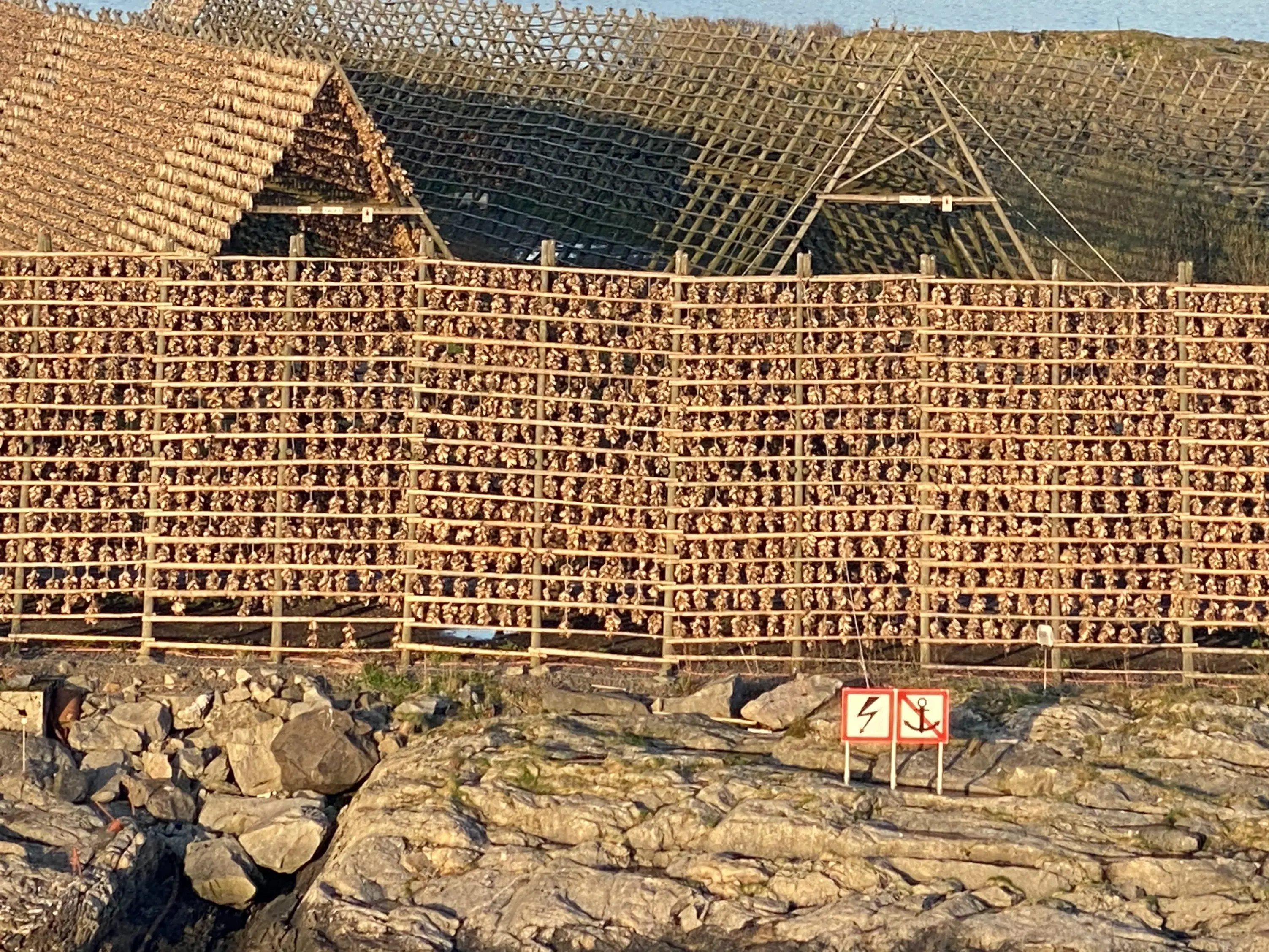 Traditional dried fish