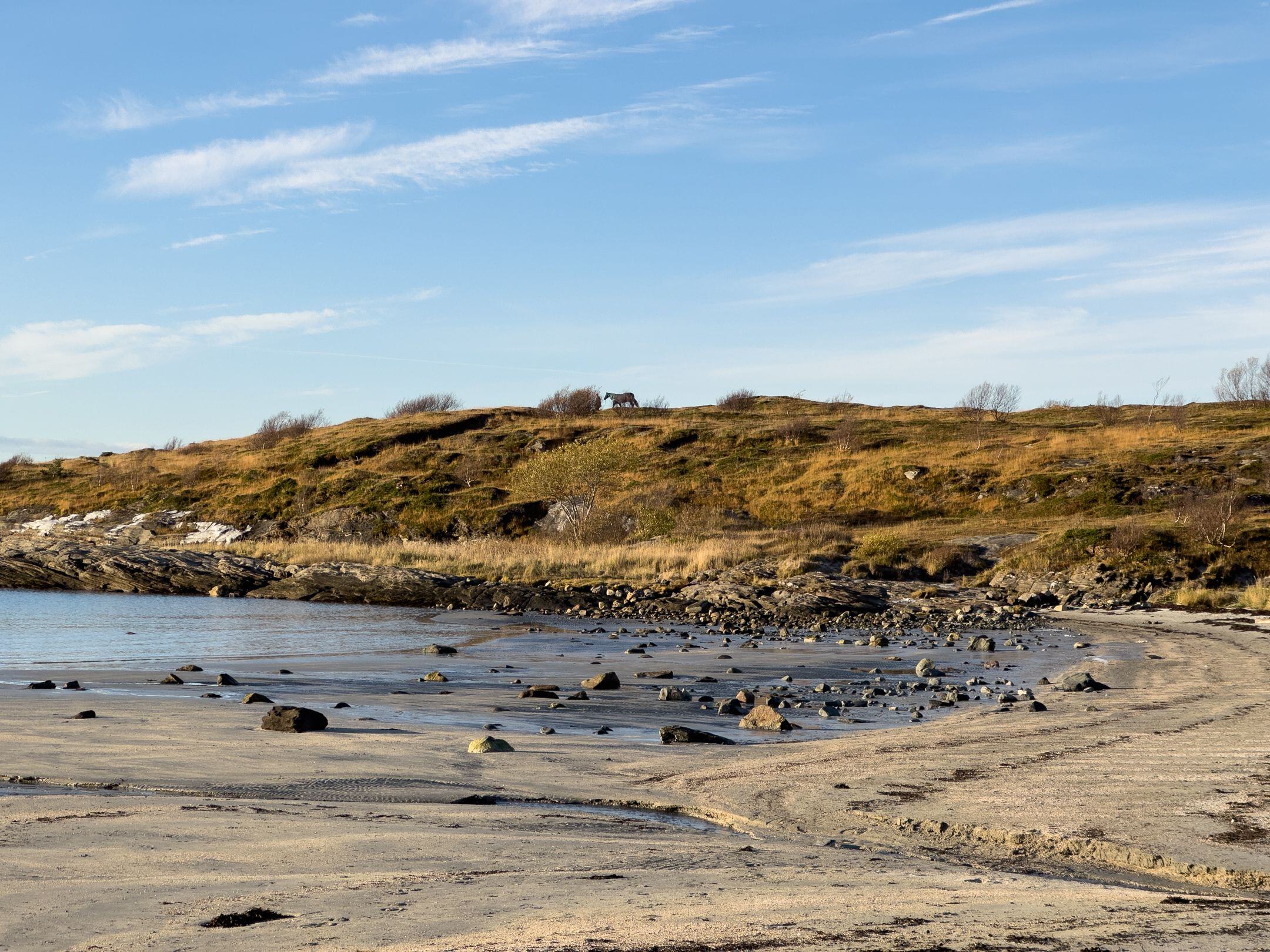 På oppdagelsesreise i Bodøs kystlandskap featured image